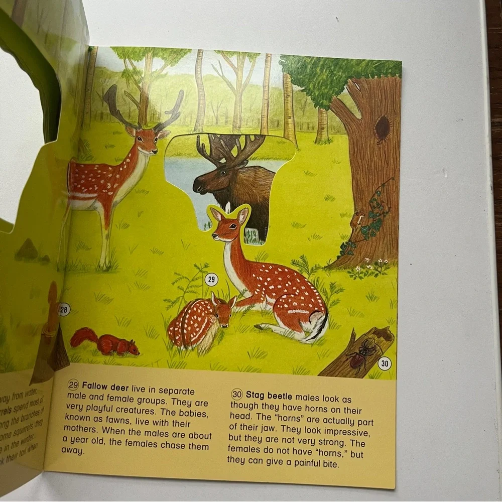 Vintage Windows on Nature Animal Books Set of 3
